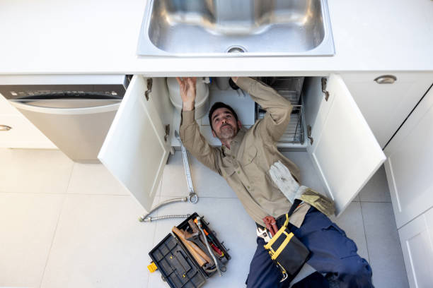 Best Clogged Drain Plumber  in Lodi, WI