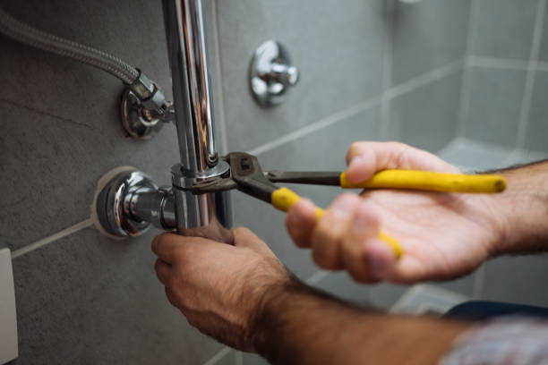 Best Local Plumber Services  in Lodi, WI
