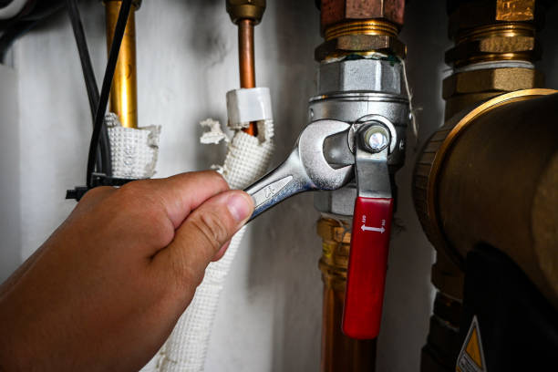 Shower Repair Services in Lodi, WI